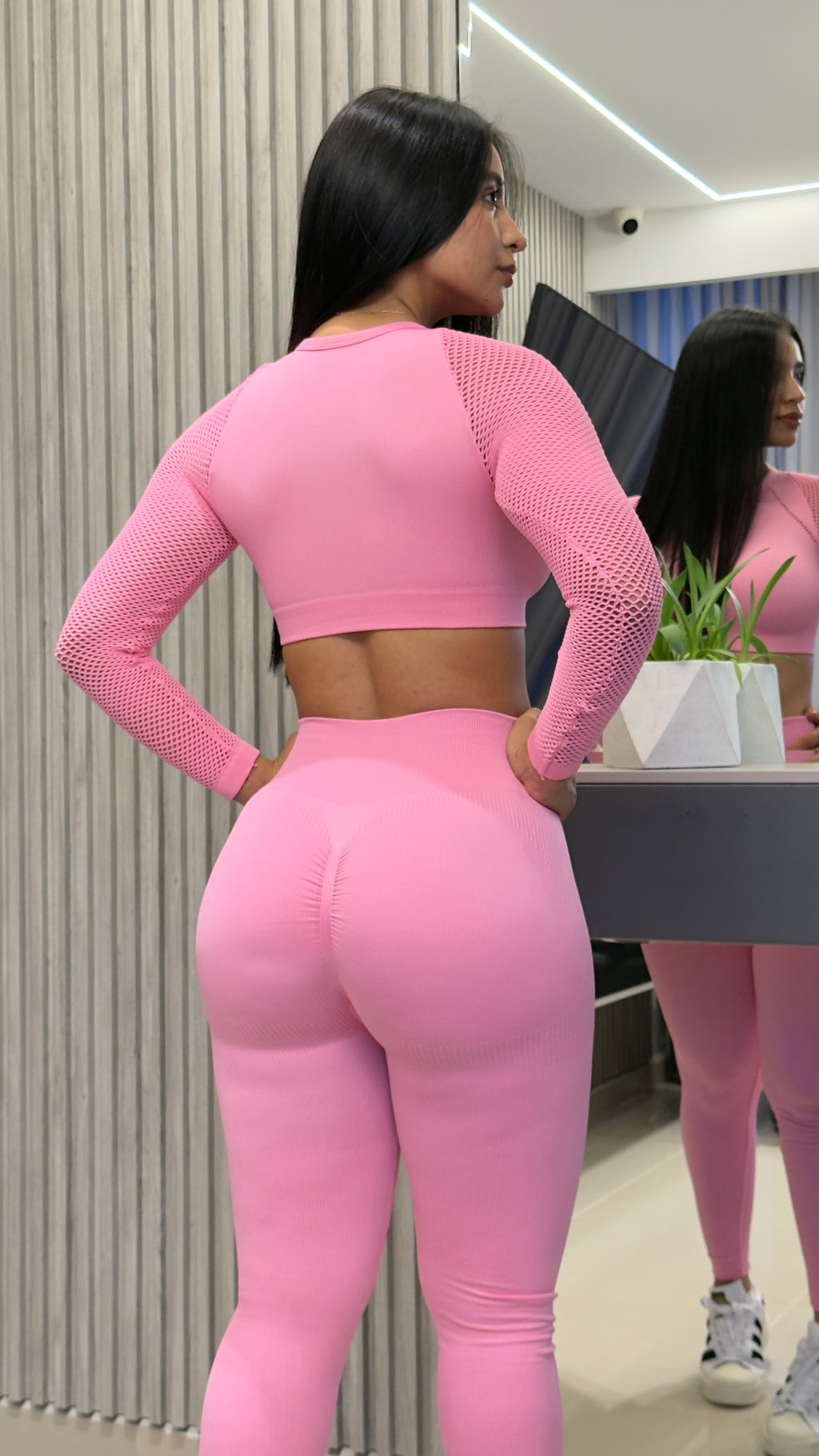 SET ALMA